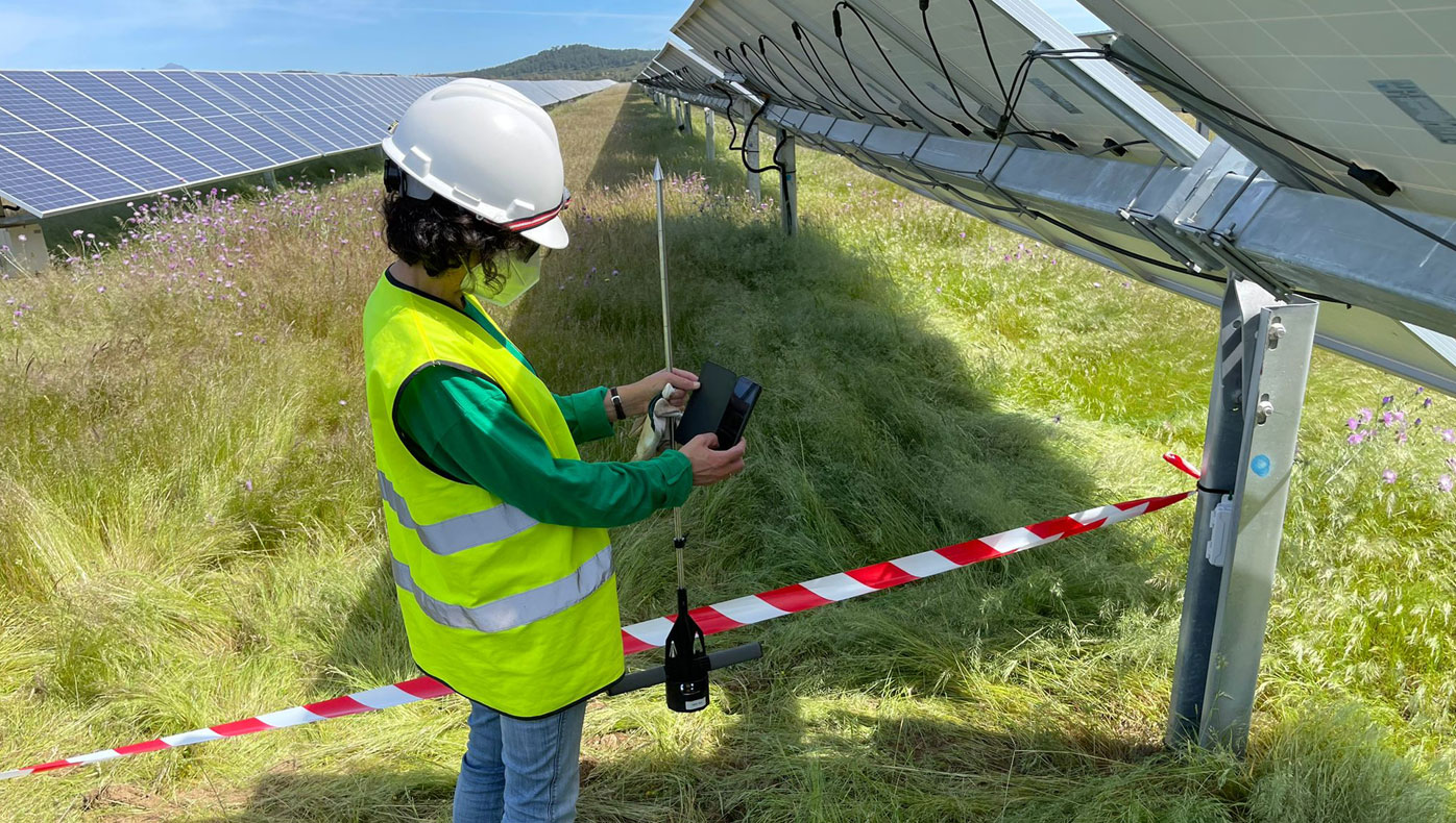 Innogestiona Ambiental analiza los efectos ambientales de la presencia de plantas solares fotovoltáicas en Extremadura