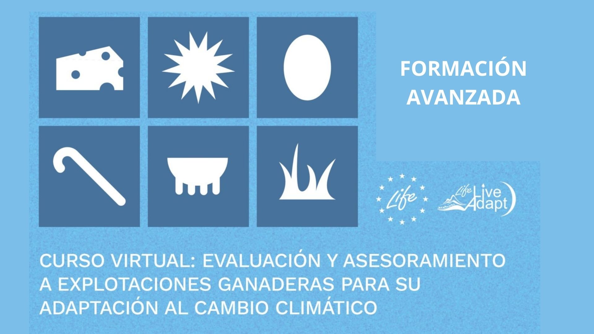 Comienza el curso 4 LiveAdapt: Evaluación y asesoramiento a explotaciones ganaderas para su adaptación al cambio climático