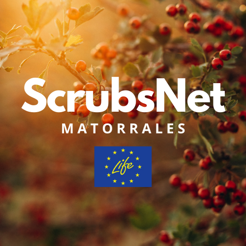 ScrubsNet | Proyecto LIFE para revitalizar hábitats agrícolas en extensivo mediante la gestión sostenible de sus zonas de matorral asociadas
