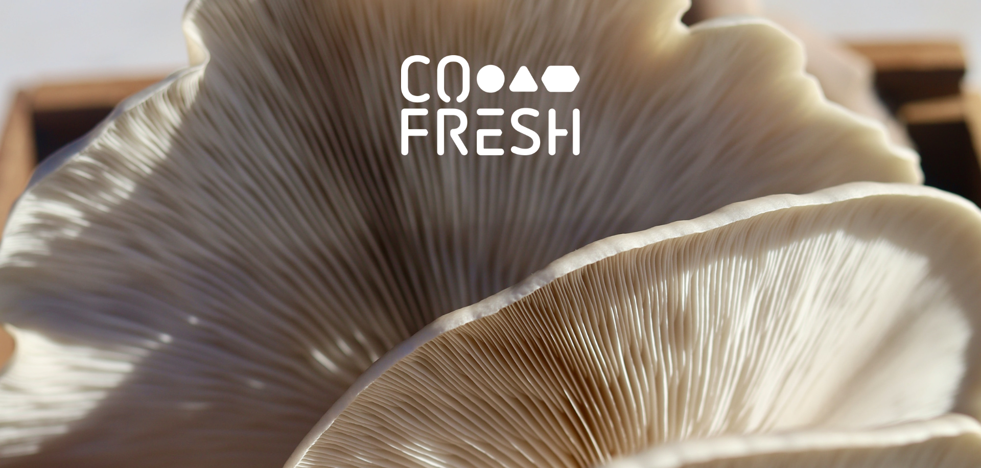 CO-FRESH, innovations to more competitive, resilient and sustainable food systems